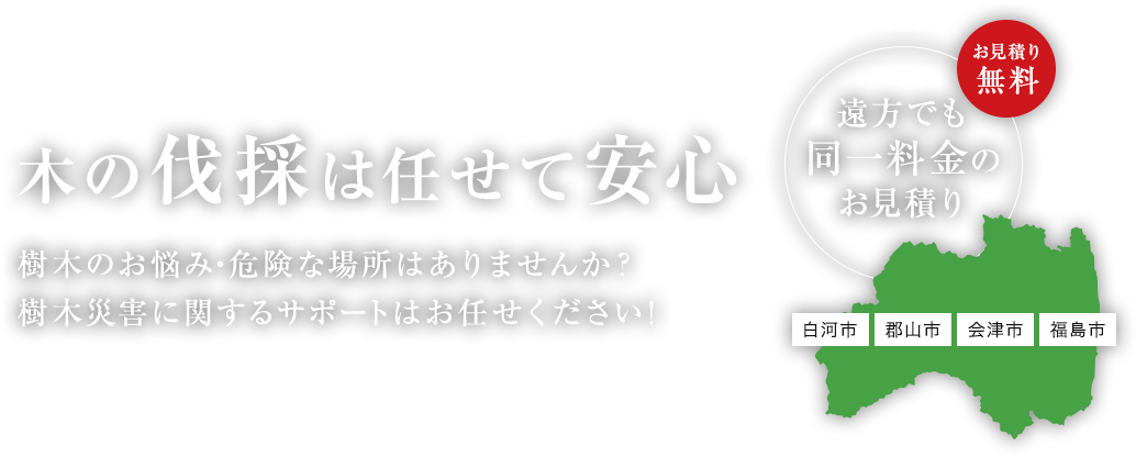 木の伐採は任せて安心。樹木のお悩み・危険な場所はありませんか?樹木災害に関するサポートはお任せください!
